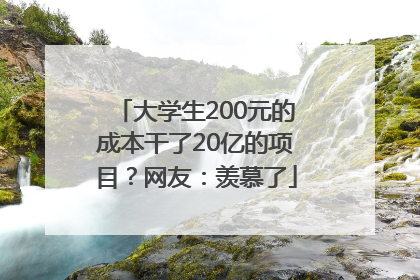 大学生200元的成本干了20亿的项目？网友：羡慕了